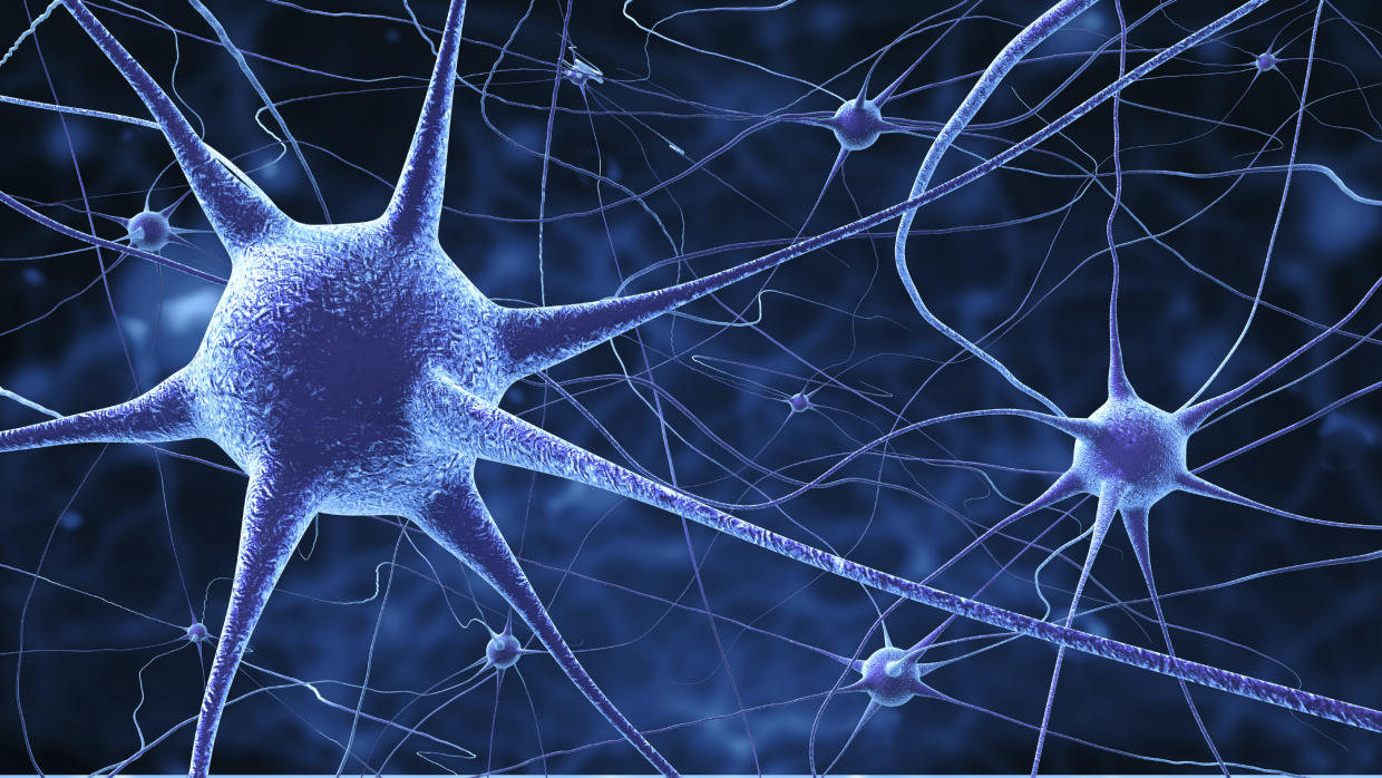 neuronas espejo